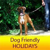 No Fly Dog Friendly Holidays